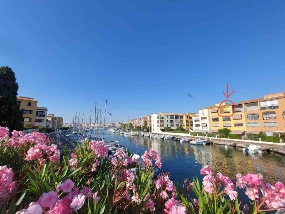 Cap'Nomad Studio Cote Port - Terrasse - Piscine - Parking Agde Extérieur photo